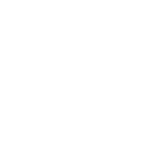 Kidneys icon