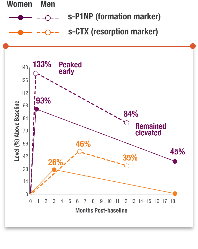 Illustration showing TYMLOS rebalancing bone remodeling