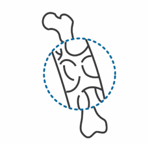 Icon of a stylized bone shaped like a candy or lollipop, with curved trabecular patterns inside a circular outline and dotted blue border, representing bone structure or anabolic bone formation